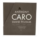 ANTHONY CARO - Leaf Pool / Skulptur i pap